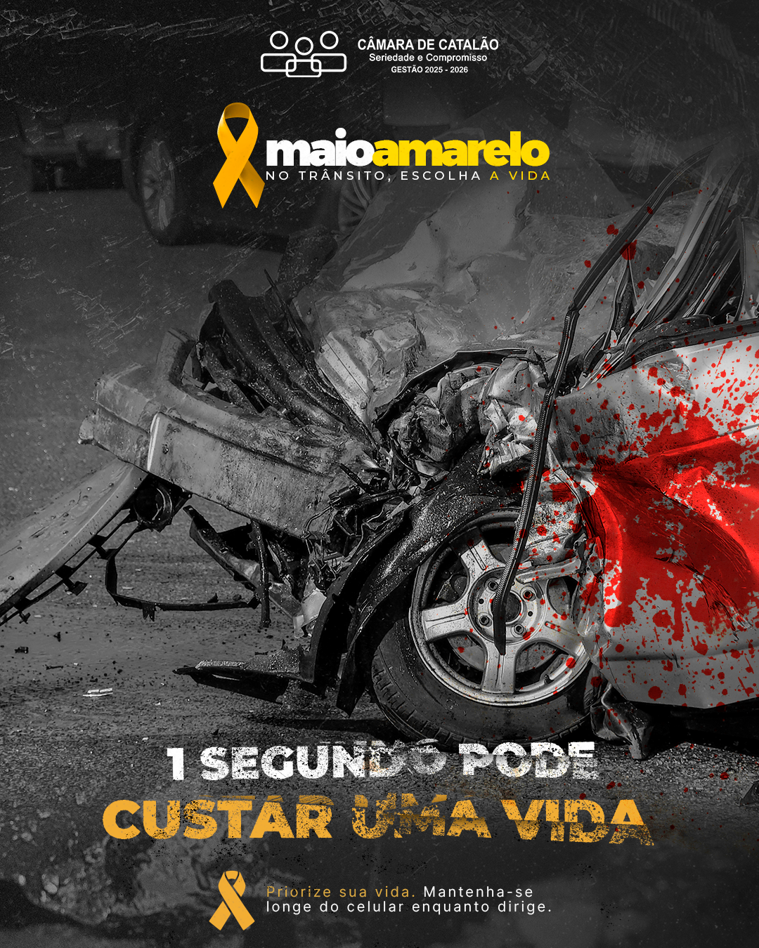 Maio amarelo-Câmara