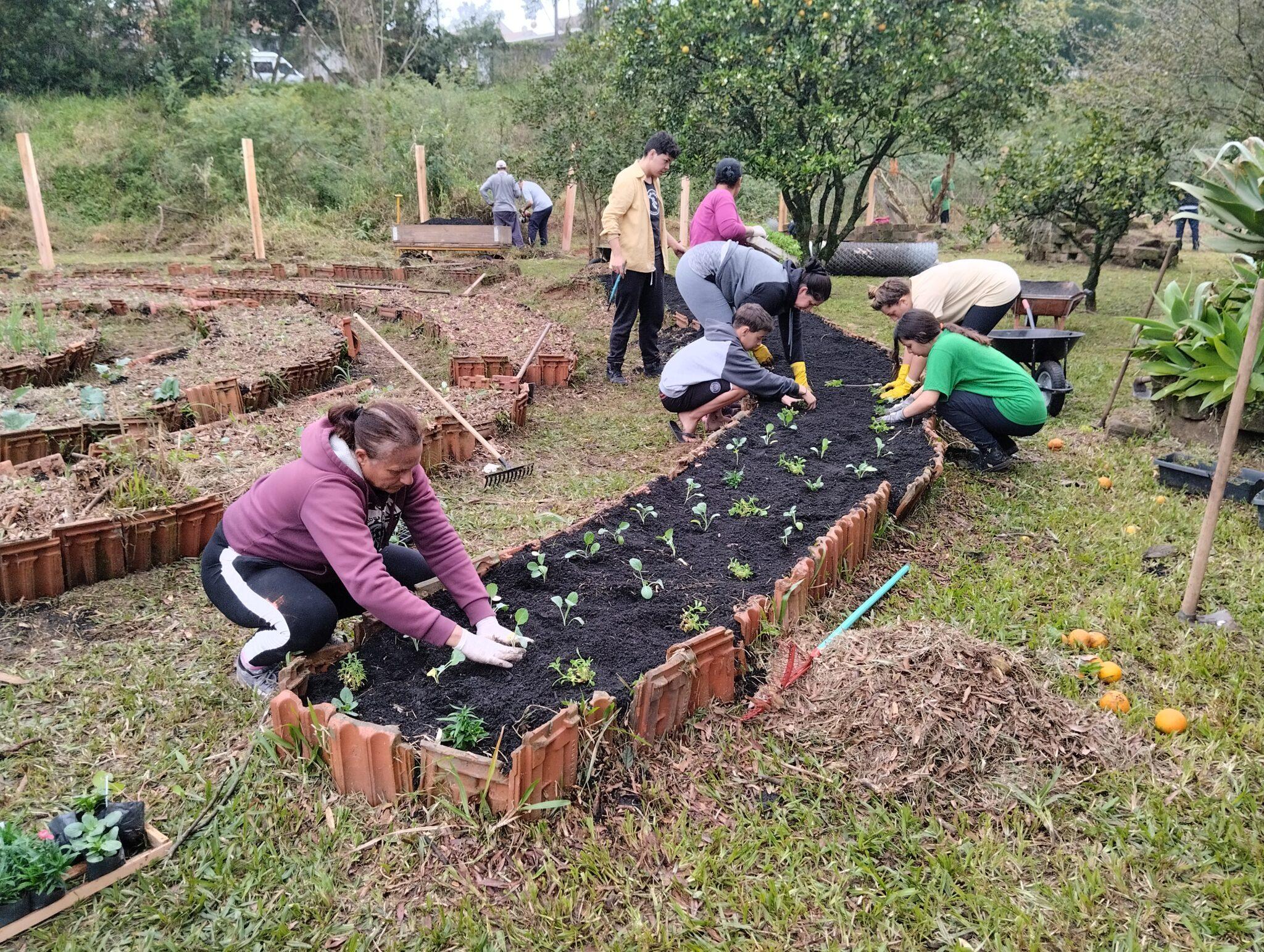 Projeto referência de agricultura familiar e práticas agrícolas ...